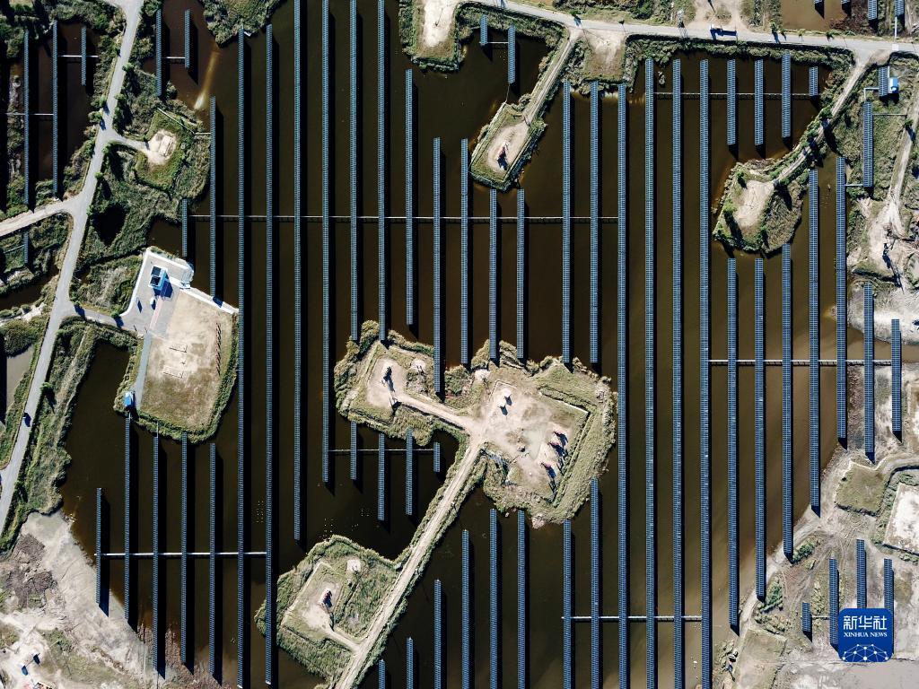 捕鱼游戏最新